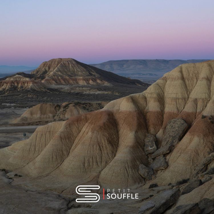 cover art for Le silence du Désert des Bardenas