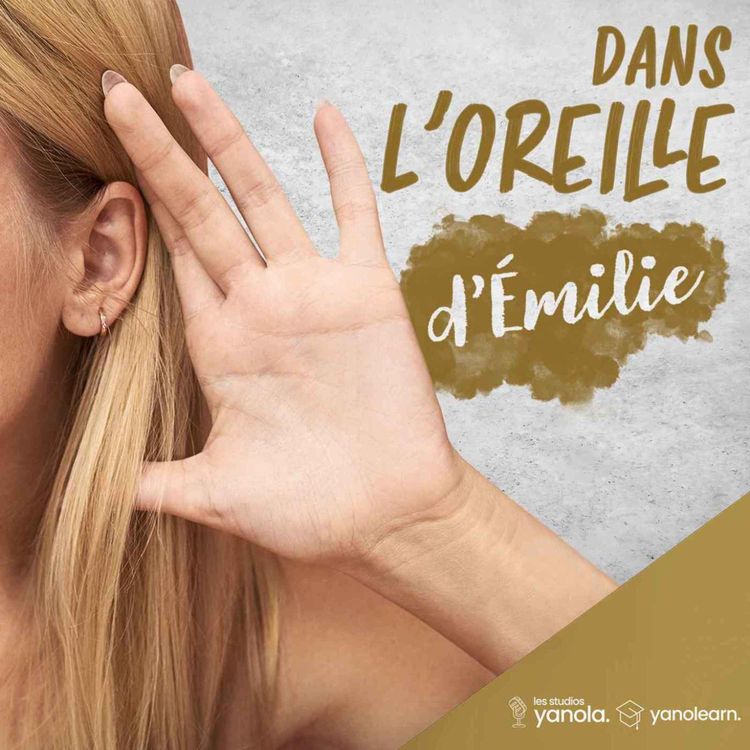 cover art for 🎙️ Dans l'Oreille d'Émilie - Épisode 19 : La validation des acquis de l'expérience (VAE) : transformer son expérience en diplôme