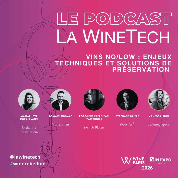 cover art for Vins No/Low : enjeux techniques et solutions de préservation