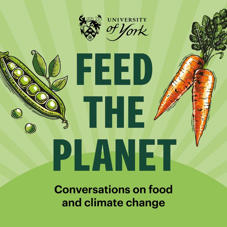 cover art for Why What We Eat Matters for Climate Change: Sarah Bridle talks to Dave Reay