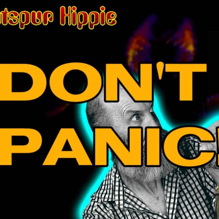 cover art for HOTSPUR HIPPIE HAPPY HOUR: DON'T PANIC!
