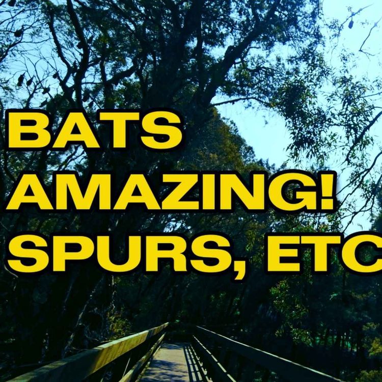 cover art for BATS AMAZING, SPURS ETC ETC 