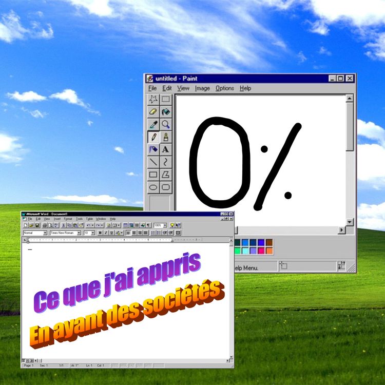 cover art for Ce que j'ai appris avec mes sociétés 