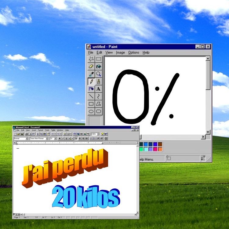 cover art for J'ai perdu 20 kilos