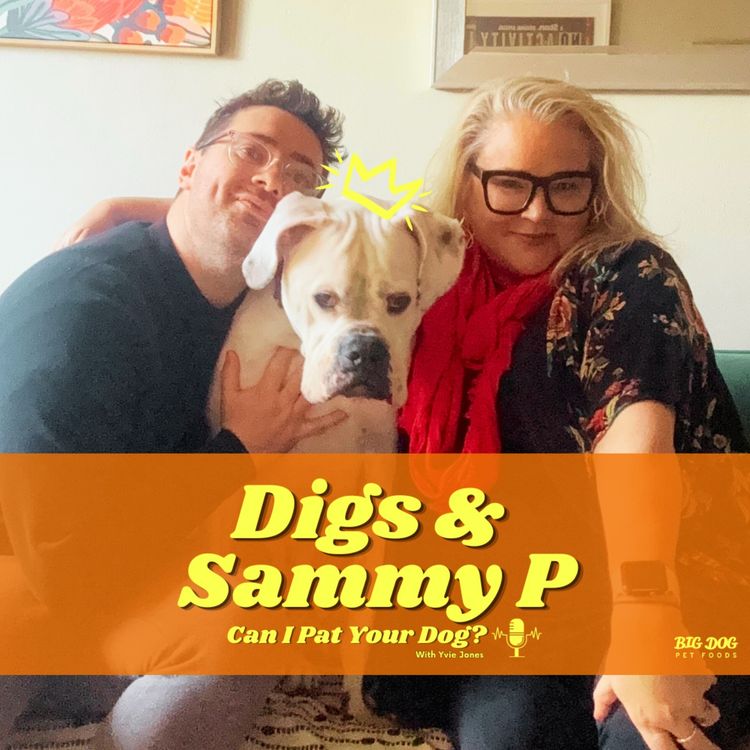 cover art for "Missy Diggins" the Bullboxer & Sammy Petersen