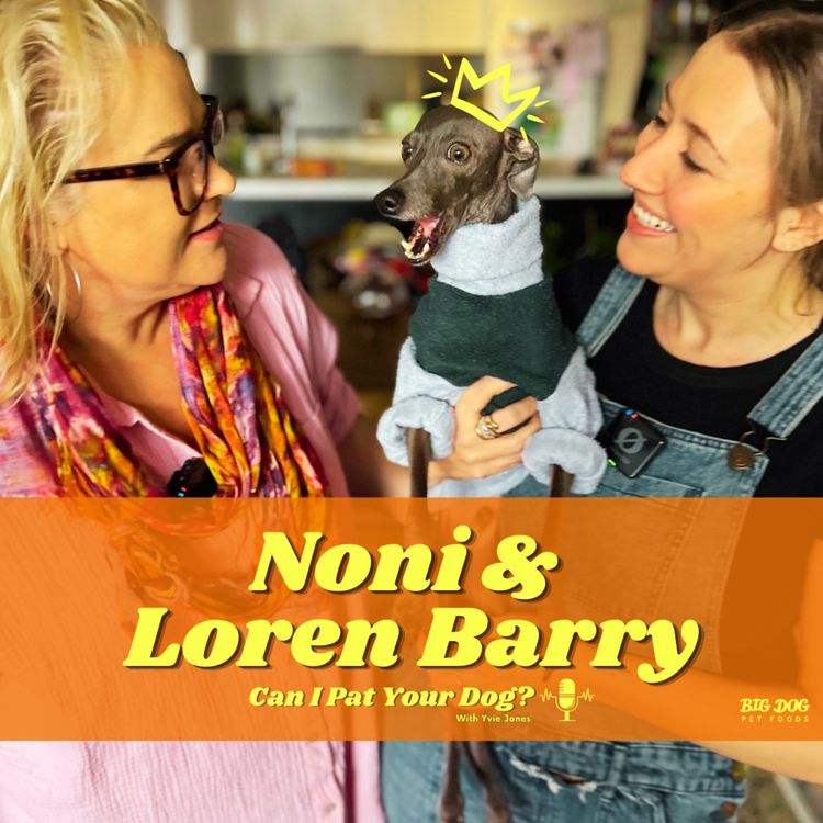 cover art for "Noni" the Italian Greyhound & Loren Barry