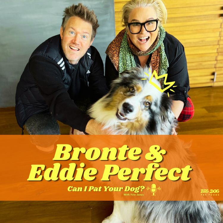 cover art for "Bronte" the Aussie Shepard & Eddie Perfect