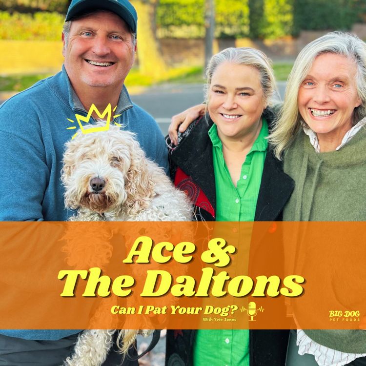 cover art for "Ace" the Cavoodle & The Daltons