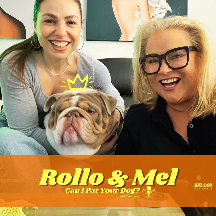 cover art for 'Rollo' The Aussie Bulldog & Mel Tracina