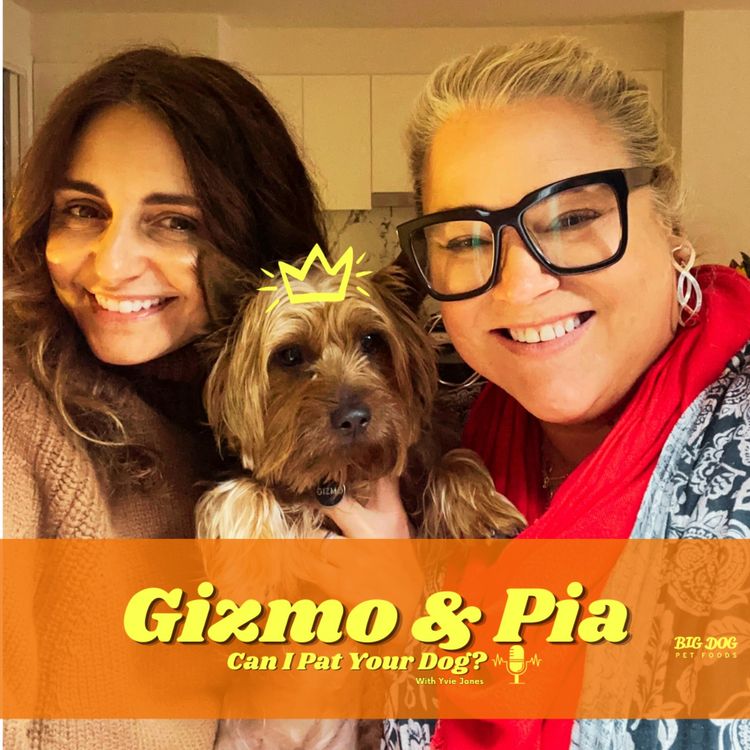 cover art for 'Gizmo' The Silkie Terrier & Pia Miranda 