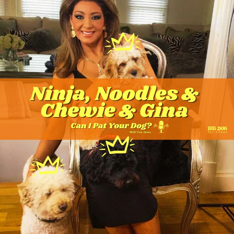 cover art for 'Ninja' the Labradoodle and 'Noodles' & 'Chewie' the Cavoodles and Gina Liano 