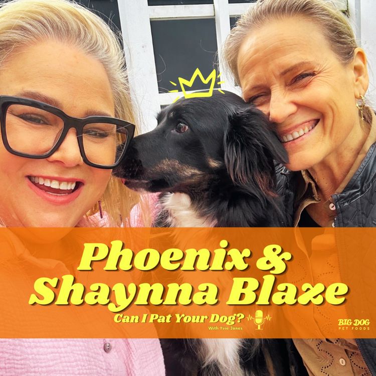 cover art for 'Phoenix' the Border Collie and Shaynna Blaze