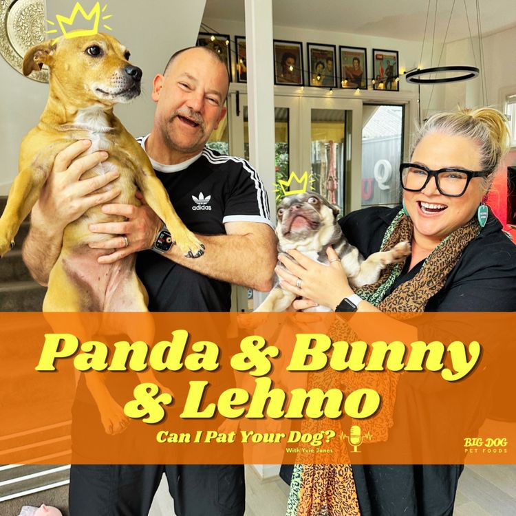 cover art for 'Bunny' the Staffie & 'Panda' the Frenchie & Lehmo 