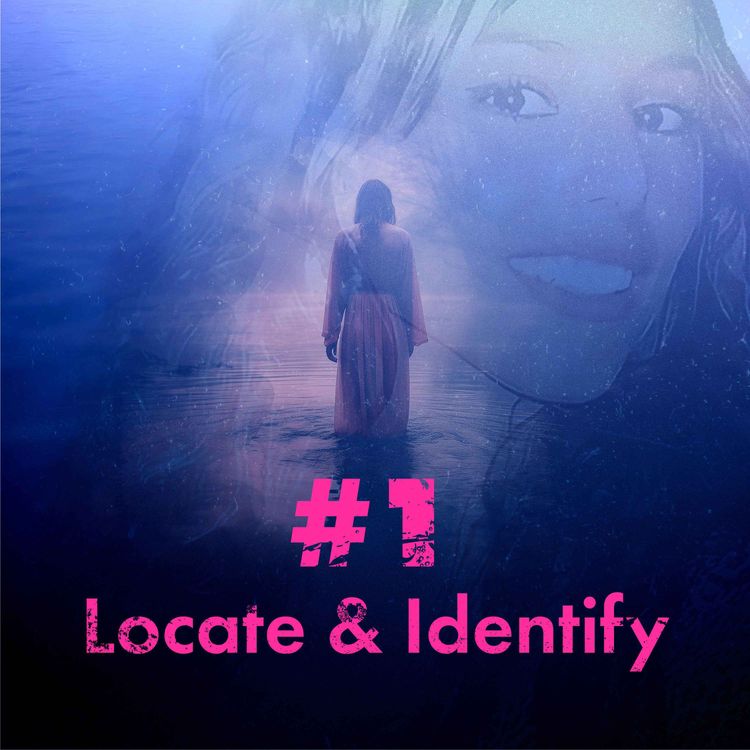 cover art for Episode 1: Locate and identify