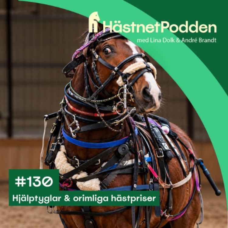 cover art for 130. Hjälptyglar & orimliga hästpriser