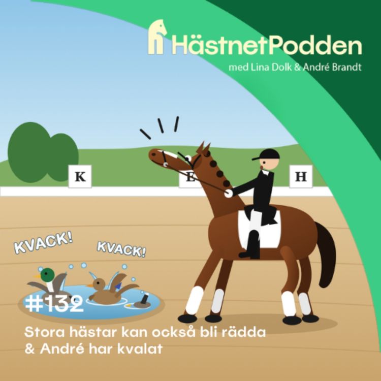 cover art for 132. Stora hästar kan också bli rädda & André har kvalat
