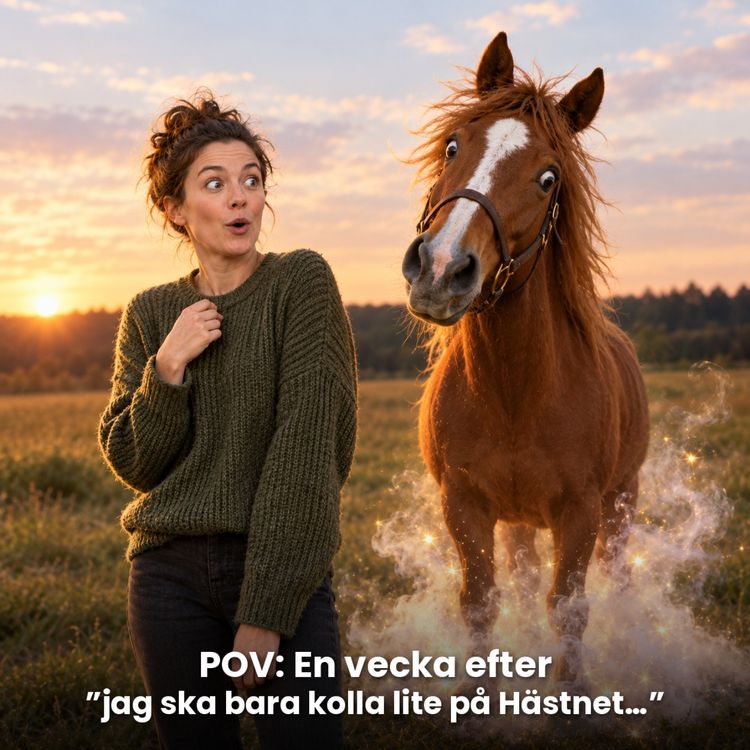 cover art for 12. HästnetPodden Extra