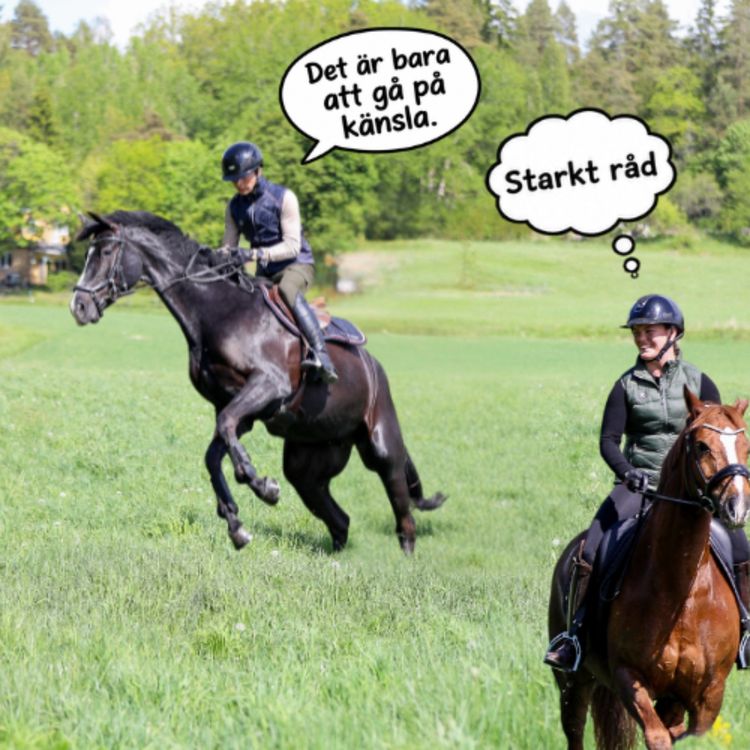 cover art for 135. Ett riggat tidsfel & Skrik å panik