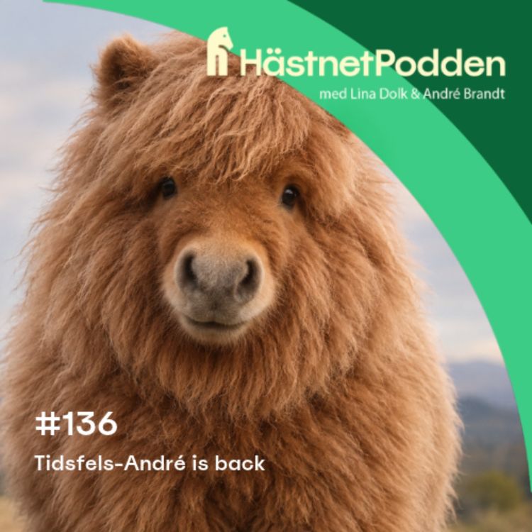 cover art for 136. Tidsfels-André is back