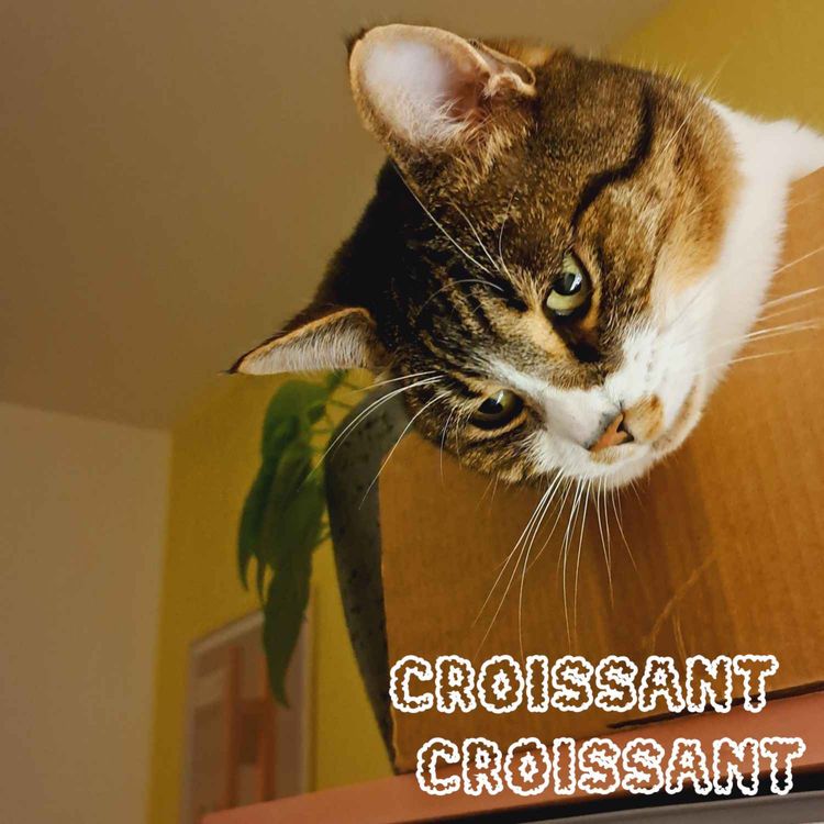 cover art for Die Entscheidung