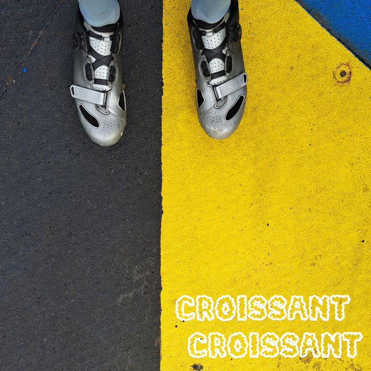 cover art for Die Alpen überqueren (in der Breite)