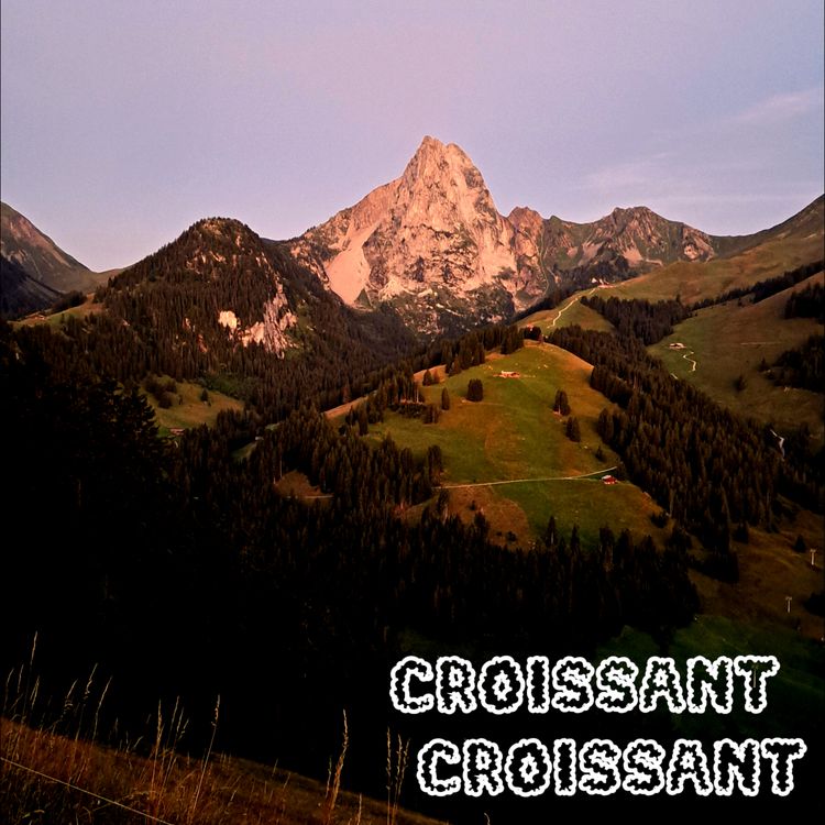 cover art for Vollgummi, le récit