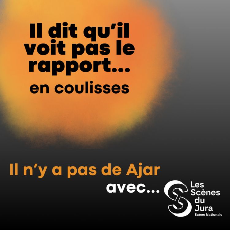 cover art for Il n'y a pas de Ajar