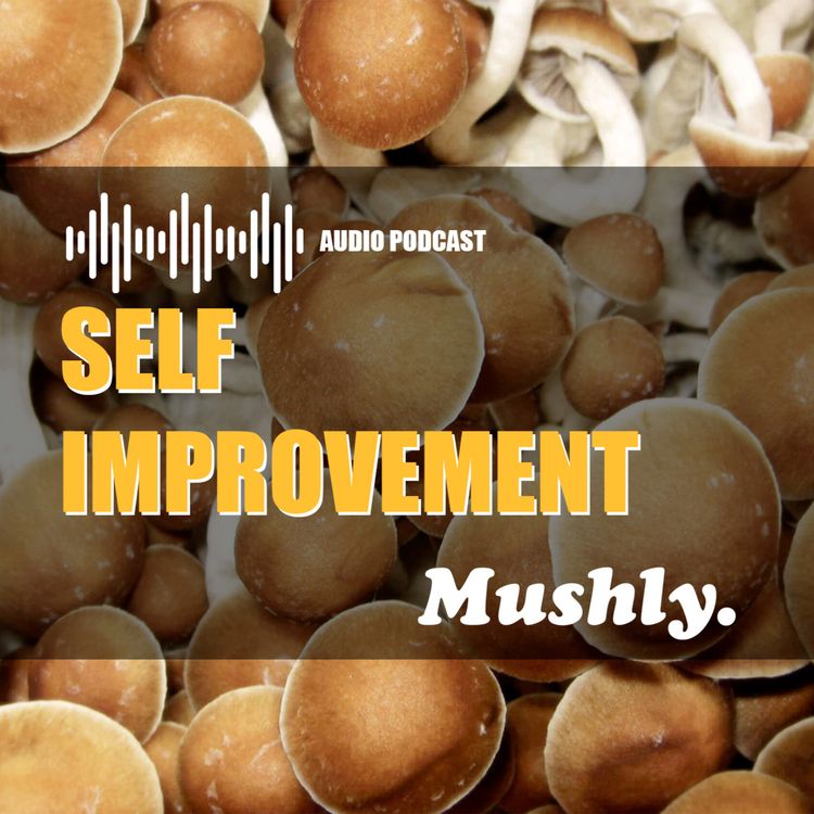 cover art for Self Improvement