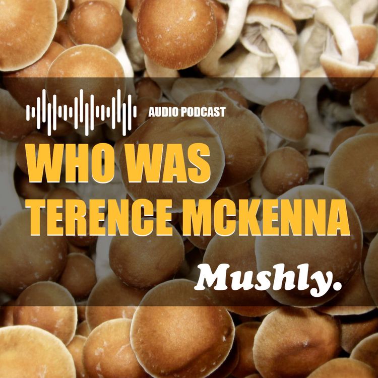 cover art for Who was Terence McKenna