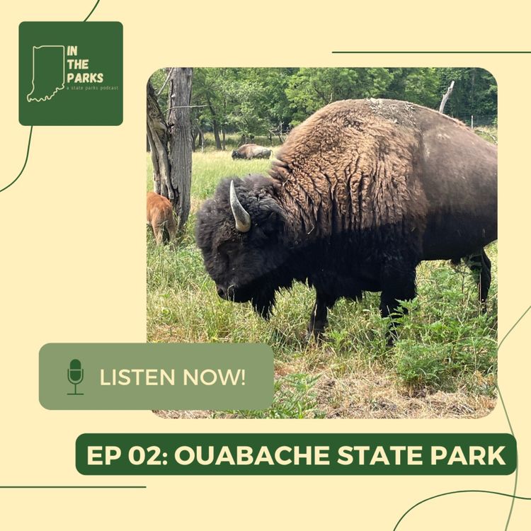 cover art for Ouabache State Park: How to Build a Legacy
