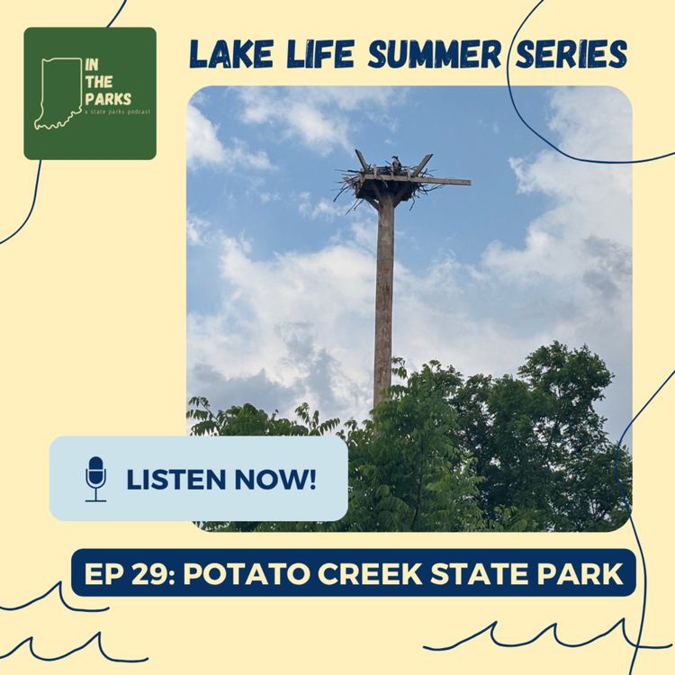 cover art for Potato Creek State Park: The Power of a Place