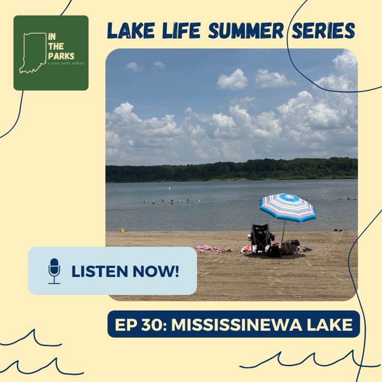 cover art for Mississinewa Lake: The Conservation Mindset