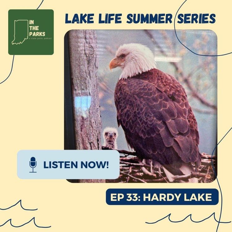 cover art for Hardy Lake: Where the Raptor Center Soars