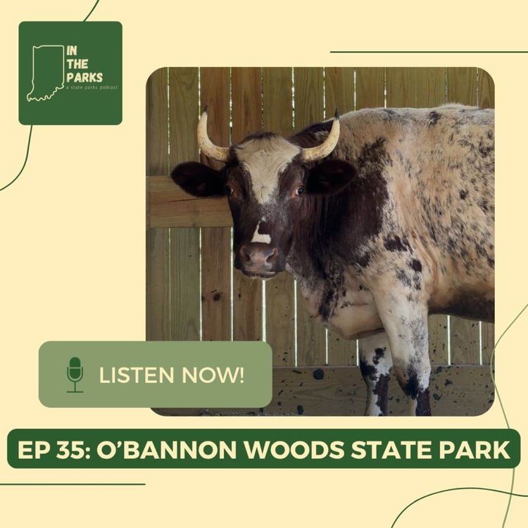 cover art for O'Bannon Woods State Park: Face Your Fears