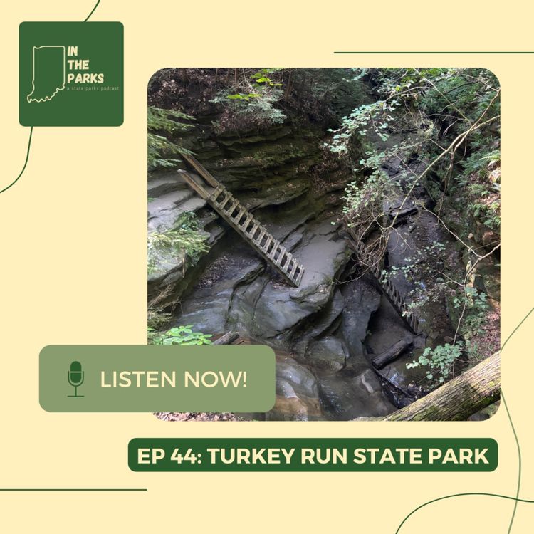 cover art for Turkey Run State Park: The Rugged Beauty of Indiana
