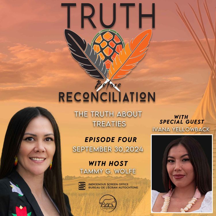 cover art for The Truth About Treaties