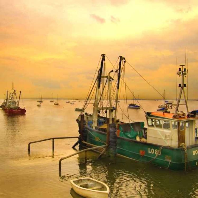 cover art for Sense of Place trail: Coastal fishing