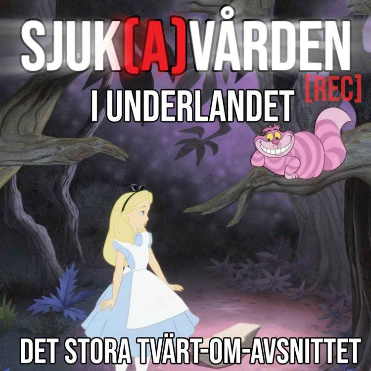 cover art for #17 - Det Stora Tvärtomavsnittet