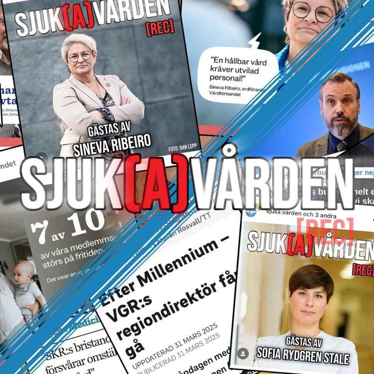 cover art for #23 - Reflektioner från intervjuer, Milleniumavsked och ett yrkes status. 