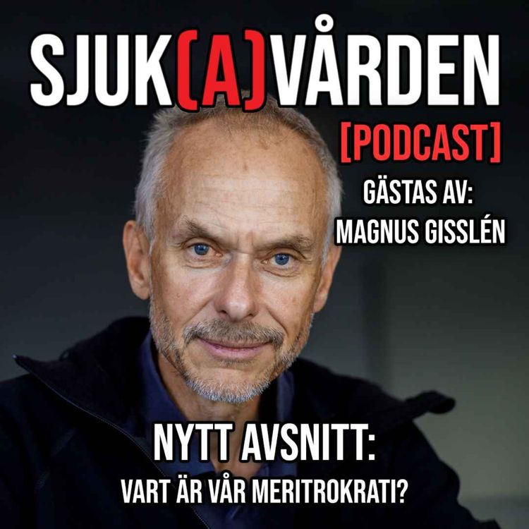 cover art for #29 - Magnus Gisslén om vår förlorade meritokrati