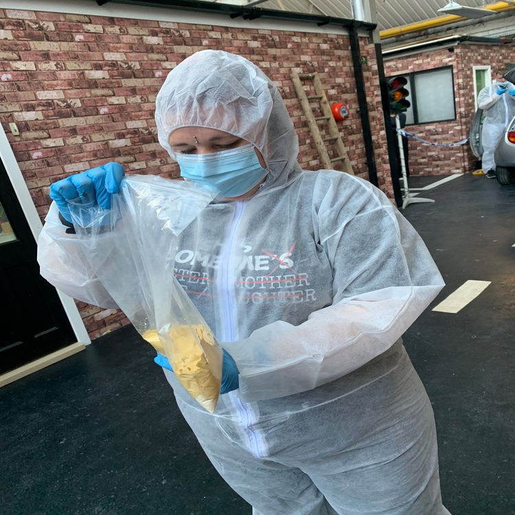 cover art for DONT separate the art from the artist( DING DONG THE NONCE IS DEAD)