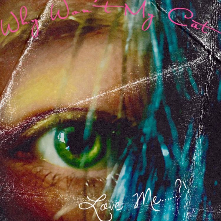 cover art for celebrities cult - why are we like this?