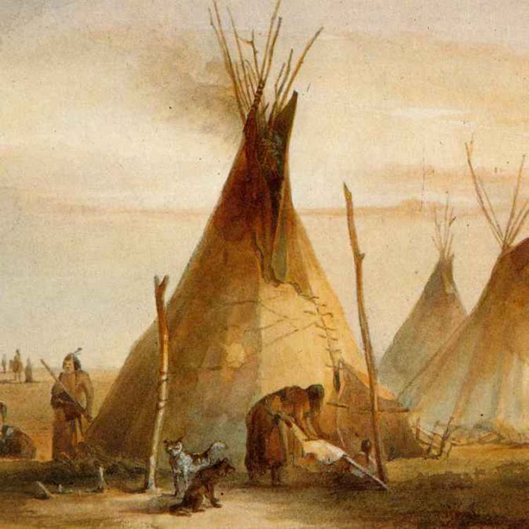 cover art for Als "Indianer" die US-Armee besiegten: die Schlacht am Little Bighorn und seine Folgen - Zeit für History #22