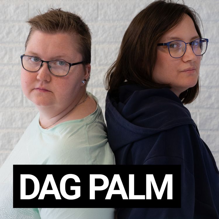 cover art for Julspecial med Dag Palm
