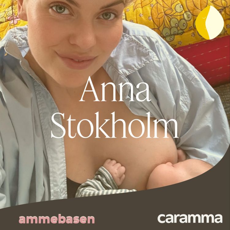 cover art for Anna Stokholm - Hvordan skaber man sig en landsby?