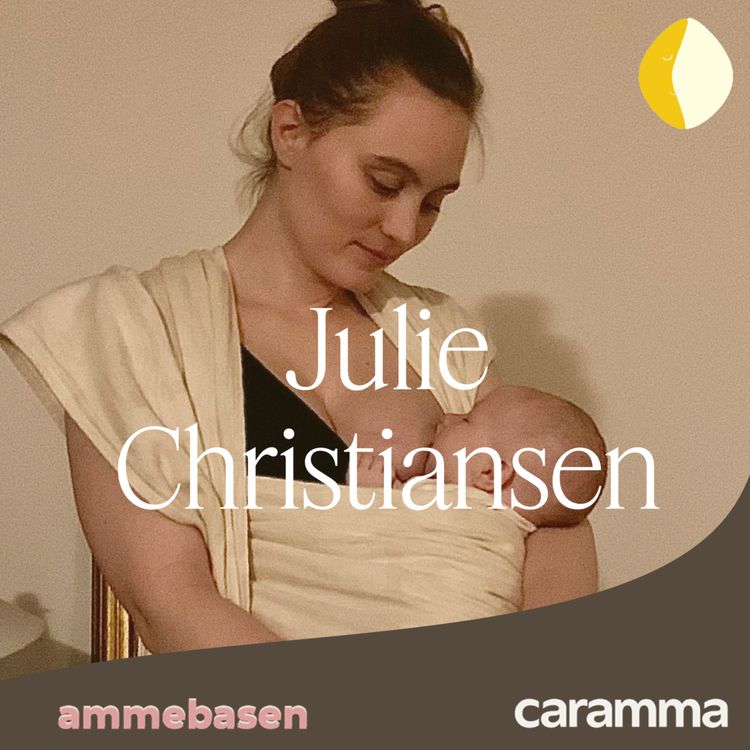 cover art for Julie Christiansen - Ny baby, ny rejse, - når amning er forskellig for hvert barn