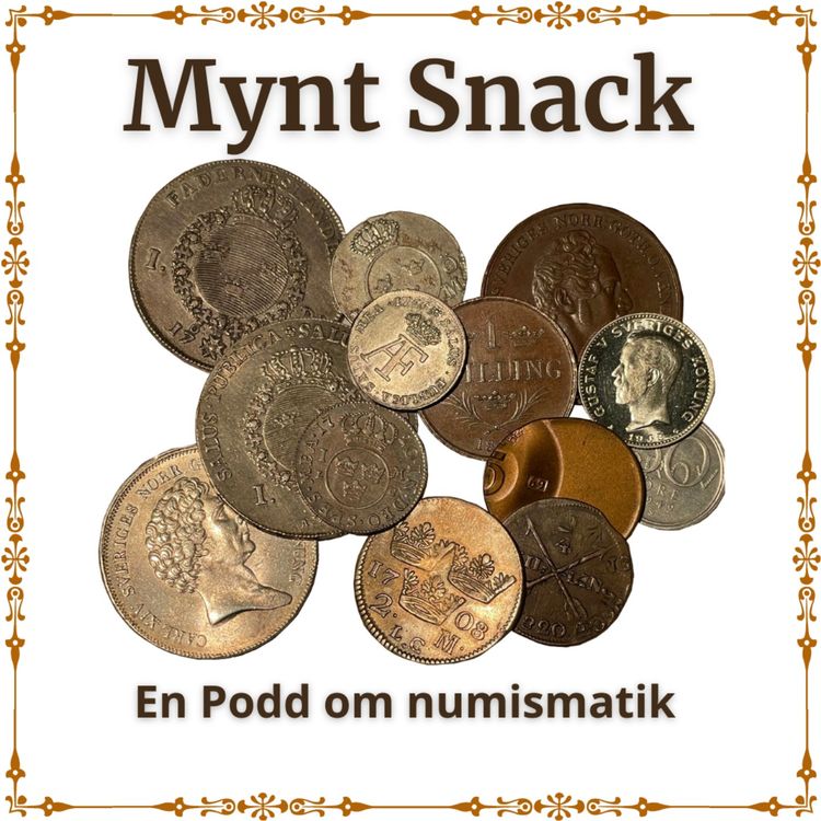 cover art for Vad är värdet på mitt mynt?