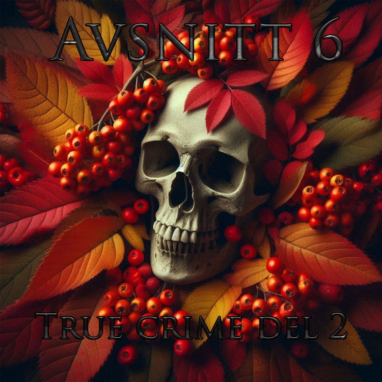 cover art for Avsnitt 6: True Crime del 2