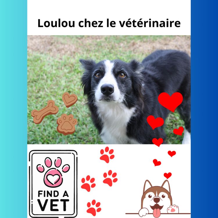 cover art for Loulou le chien va chez le vétérinaire