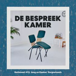 cover art for De Bespreekkamer